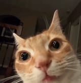 1749162997023536
