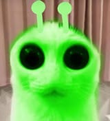 cat alien