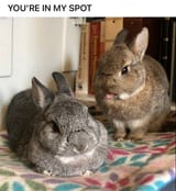 GGYTawDWsAATOOM