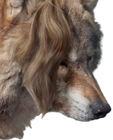 1573423642009