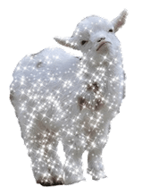 SPARKLE