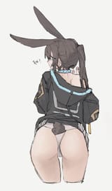 amiya ass 10