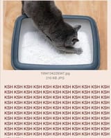 1726887568753018