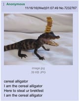1703021156818807