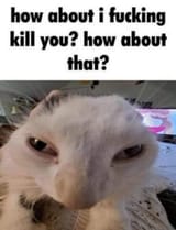 FmK4j5kaAAQpXWd