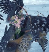 elf hawk rider