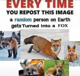 1734058685410766