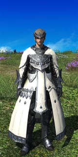 Chimerical Healing set