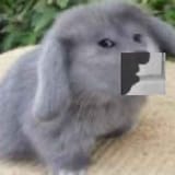 GbVEoTNbsAEjS9W