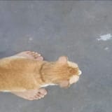 1730780652298563