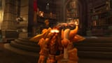 Dwarf Paladin