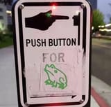button for frog