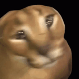 1737896110593508