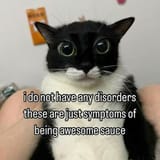 GtLtFThbMAMECXy