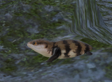 ffxiv_09072023_195529_125