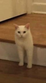 1656210311301