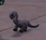 minibruto