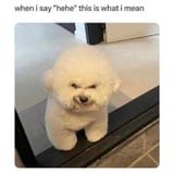 hehe