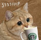 1348355889443