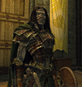 The Elder Scrolls V Skyrim Special Edition Screenshot 2025.06.17 - 20.57.15.66