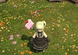 image_2025-06-17_213618604