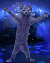 catdance