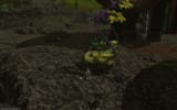 ffxiv_06132025_102933_438