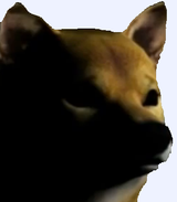 1496664498389