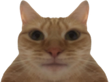 smeedvun
