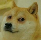 doge