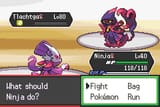 40 vs 80
