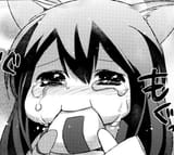 5123216316