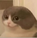 1747844917802708