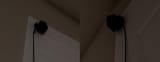 1747340171126816