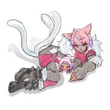 008EThingy1i2jfnq8tccj313o13m7tt