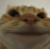 1739870614903996