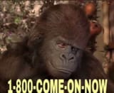 1744279056548178