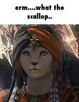 wuk lamat what the scallop