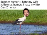 tony stork