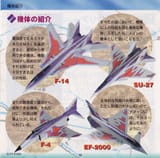 Ace Combat [Playstation the Best] SLPS-91005 pag12