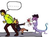 noelle kris susie