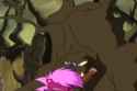 Sonia vs Tree_thumb.jpg