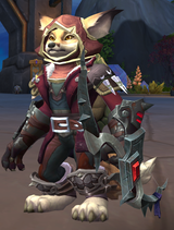 image-7