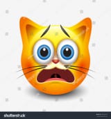 stock-vector-cute-frightened-cat-emoticon-emoji-smiley-vector-illustration-507428197