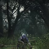chilling_wylding