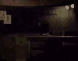 springdance2