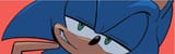 Sonic the Smirkhog