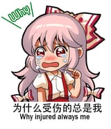 bulli