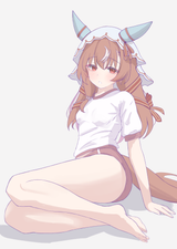 24ecae09f7c3fc27ce3117dc648e8aff