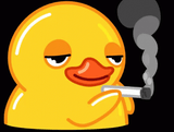 duck